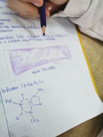 czekolada-3